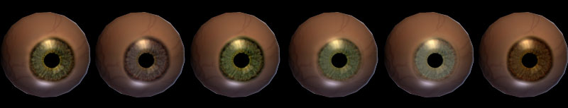 6eyes.jpg (23365 bytes)