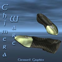shoes.jpg (7092 bytes)